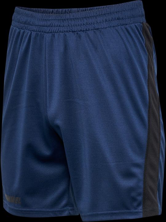 Actual product image hummel hmlMULTI PL SHORTS (L)
