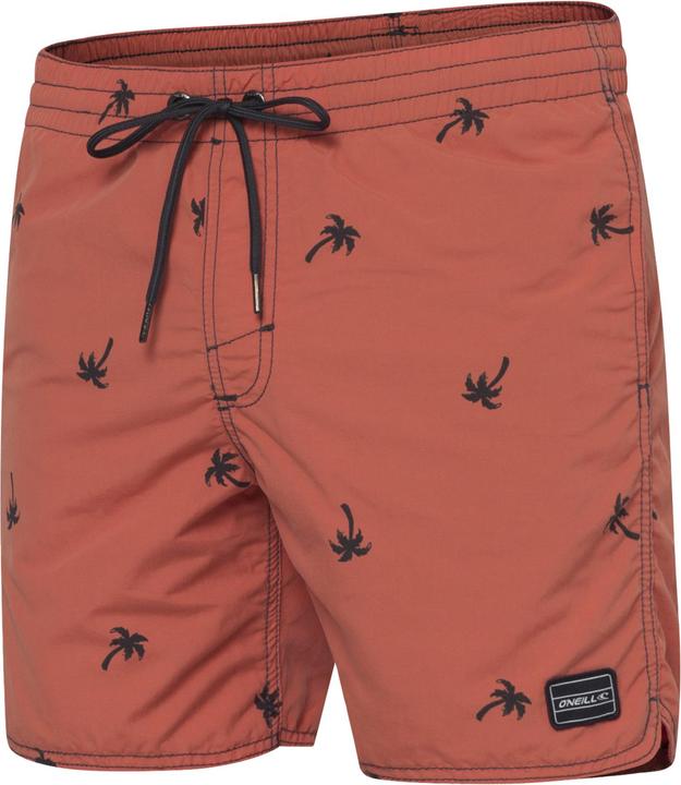 O'Neill Pm Chambers Shorts (M)