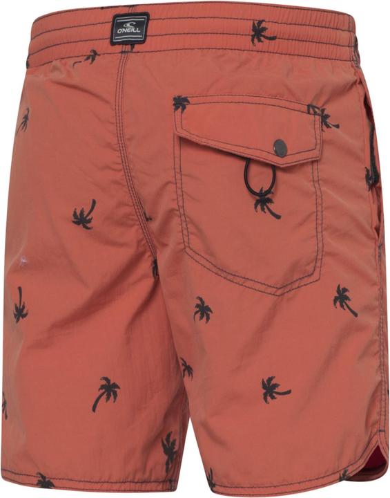 Actual product image O'Neill Pm Chambers Shorts (M)