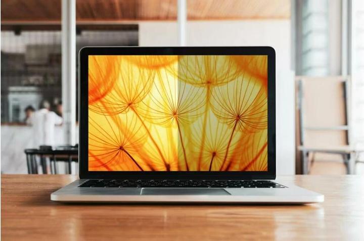 Immagine prodotto 3M BPNDE005 Protezione della vista. 3:2 Luminoso Scr. Dell Multi-Line 13 (11.14", 3 : 2)