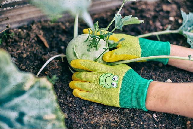 Actual product image Siena Garden Gartenhandschuhe (XXS)