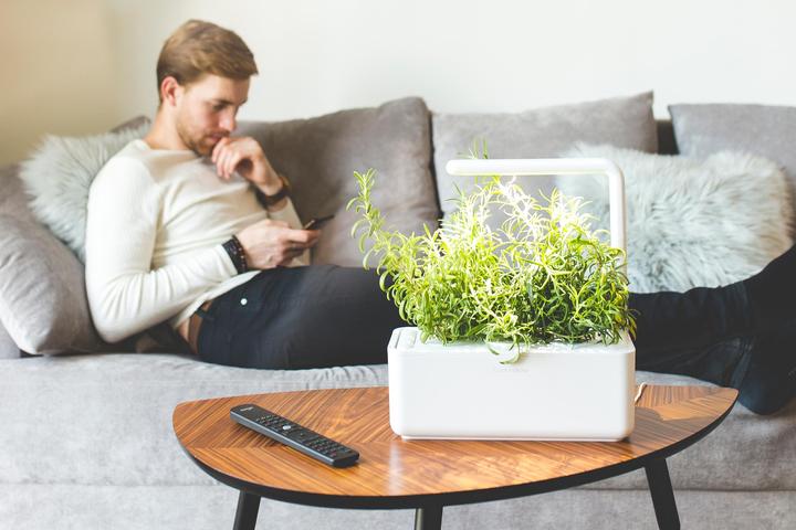 Actual product image Click and Grow Smart Garden (31.50 cm)