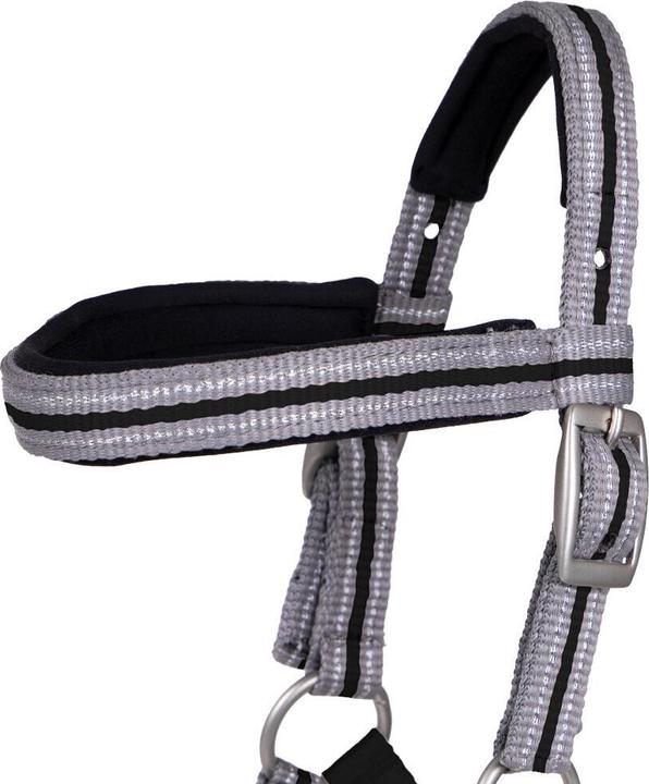 Actual product image Qhp Halter for foal with browband