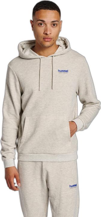 Actual product image hummel Lgc Austin Hoodie (XL)