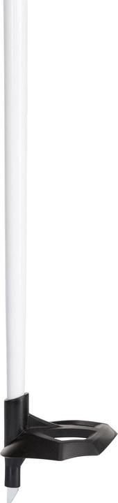 Actual product image Rossignol Langlaufstöcke FT-600 CORK