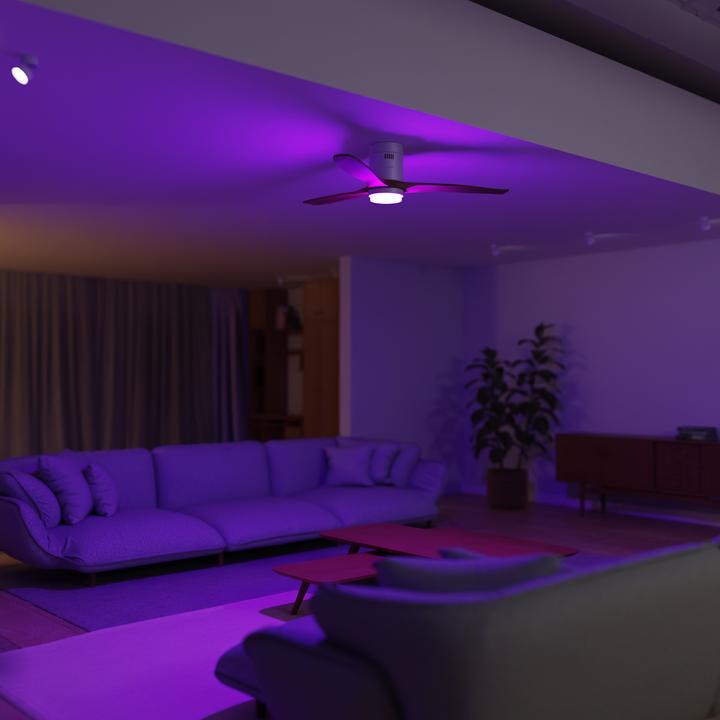 Actual product image Hombli Deckenventilator mit Licht (43 dB)