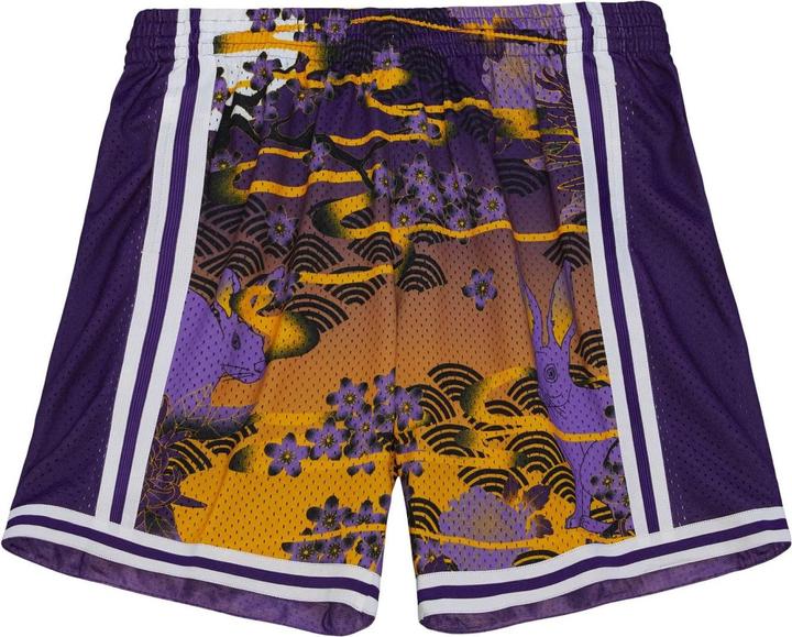 Actual product image Mitchell & Ness M&N NBA ASIAN Swingman 5.0 Los Angeles Lakers Shorts - XL (XL)