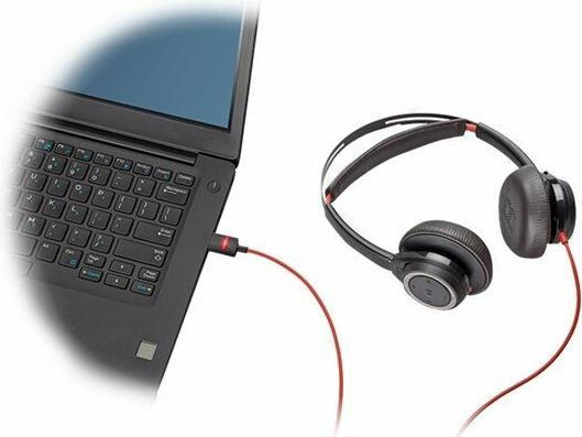 Actual product image Poly Blackwire 7225 (Cable, USB-C)
