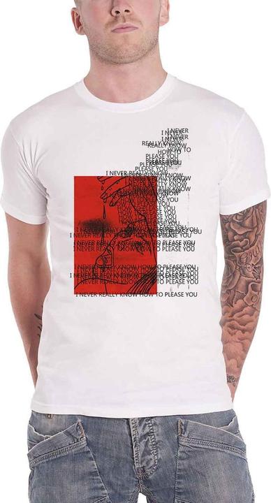 Universal Textiles Unisex Adult Please You Cotton T-Shirt