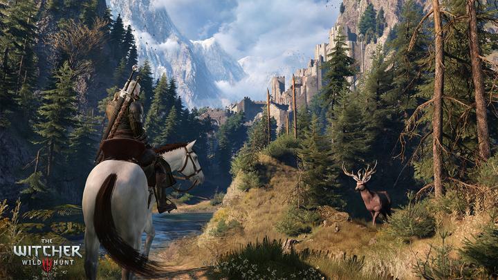Actual product image Project The Witcher 3: Wild Hunt GOTY PC (PC)