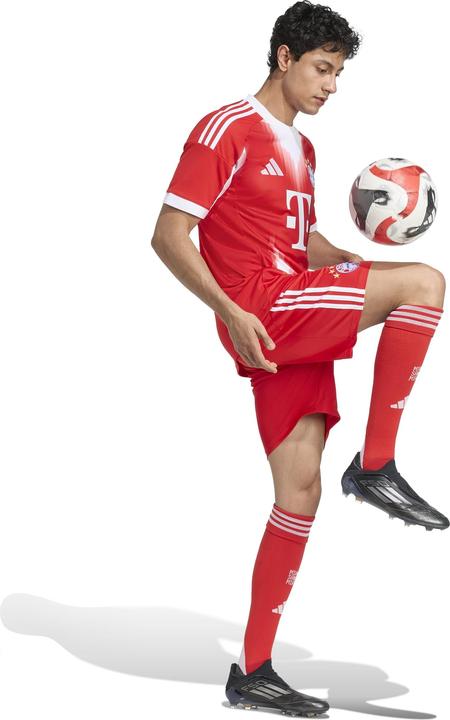 Actual product image adidas FC Bayern München Shorts (M)