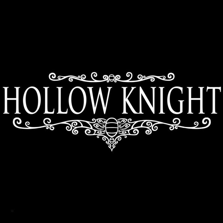 Actual product image Team cherry Hollow Knight (Switch, Switch Lite, Switch OLED, FR)