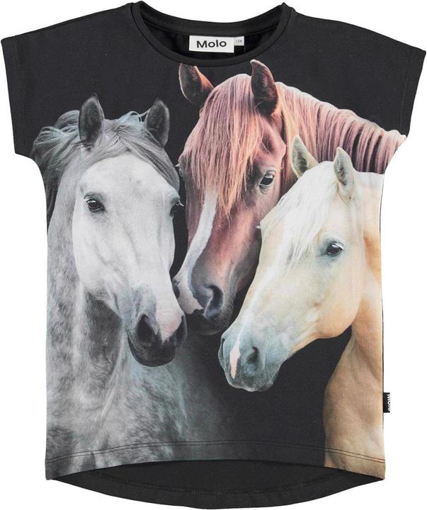 Molo T Shirt mit Pferden (104)