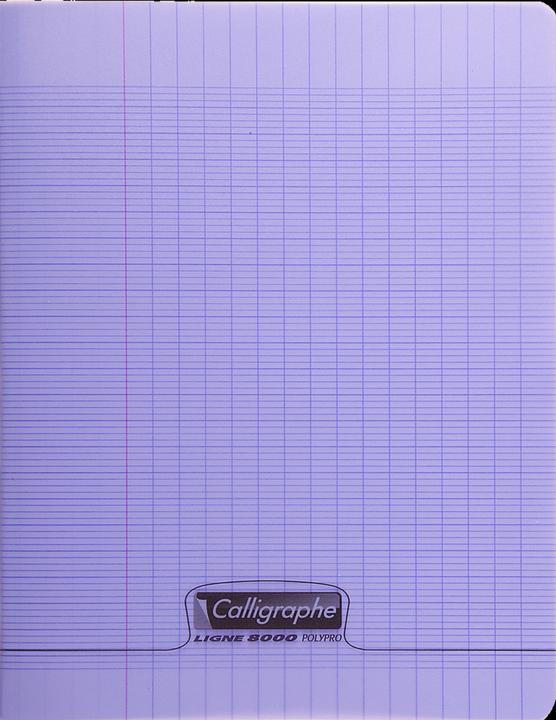 Actual product image Calligaphe Ligne 8000 Polypro (17 x 22 cm, Special ruling)