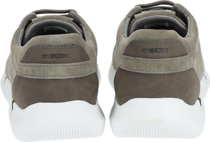 Actual product image Geox Sneaker (42)
