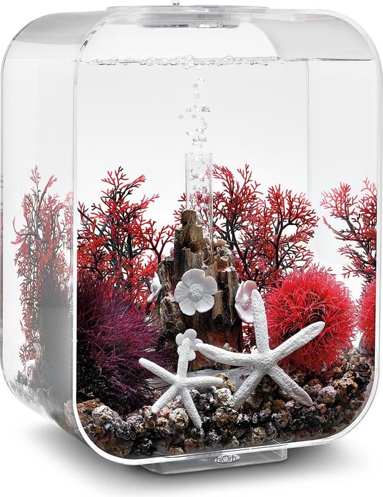 Image du produit Oase BiOrb Aquarium 15 Set décoratif (Décoration, autres éléments)