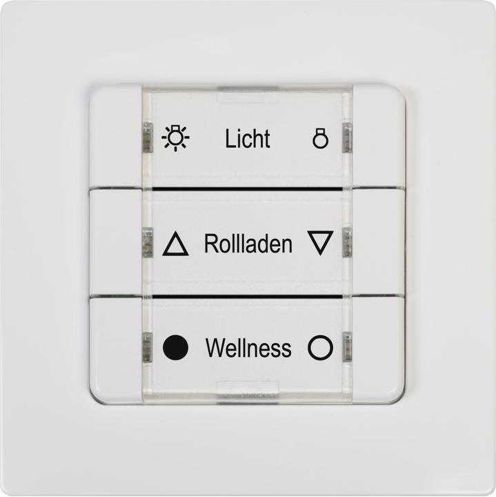 Actual product image Rademacher DuoFern multiple wall push-button BAT 9494-1