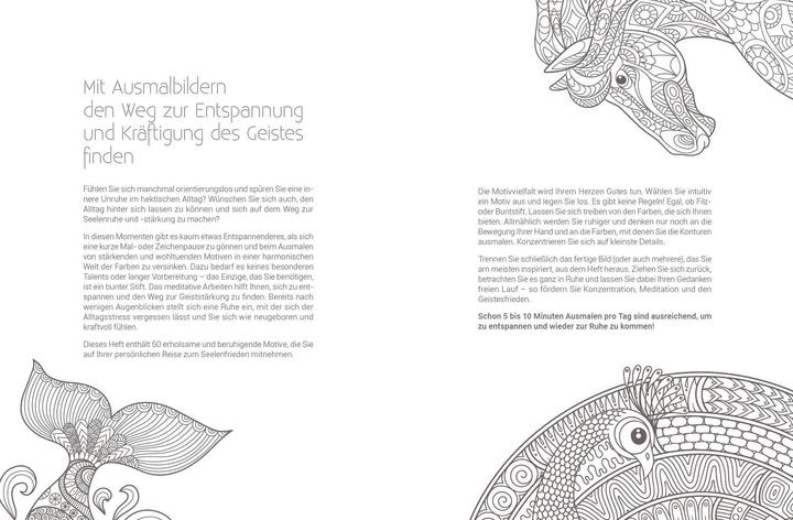 Actual product image Inspiration soul companion | 50 luminous motifs to colour in for spiritual strength and energy