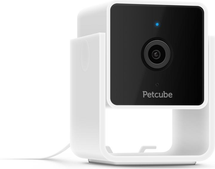 Actual product image Petcube Pet Camera (Catmint toy)