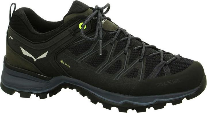 Actual product image Salewa MTN Trainer Lite GTX Shoes (43)