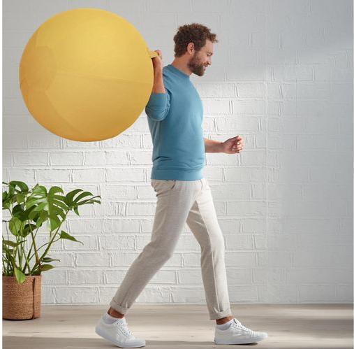 Produktbild Leitz Ergo Cosy Active Sitzball (65 cm)