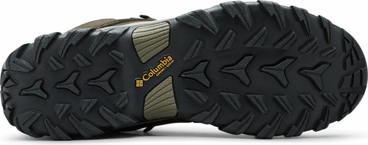 Image du produit Columbia Chaussures Newton Ridge Plus II Waterproof (44.5)