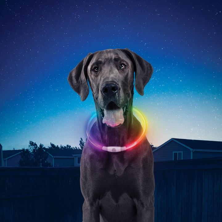 Produktbild Nite Ize NiteHowl (One Size, Hund, Arbeit, Fahrrad, Allgemein, Hundesport, Spazieren)