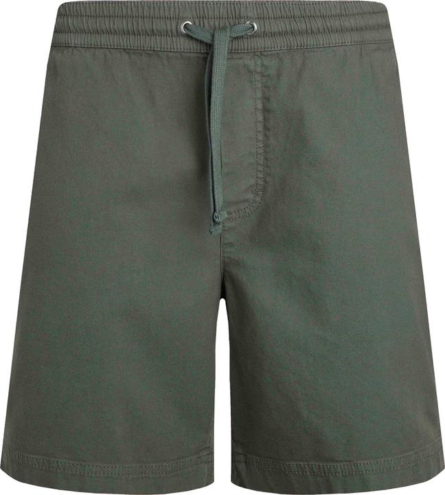 Actual product image Weird Fish Mens Weston Canvas Shorts (Frequency band 38 (2600 MHz))
