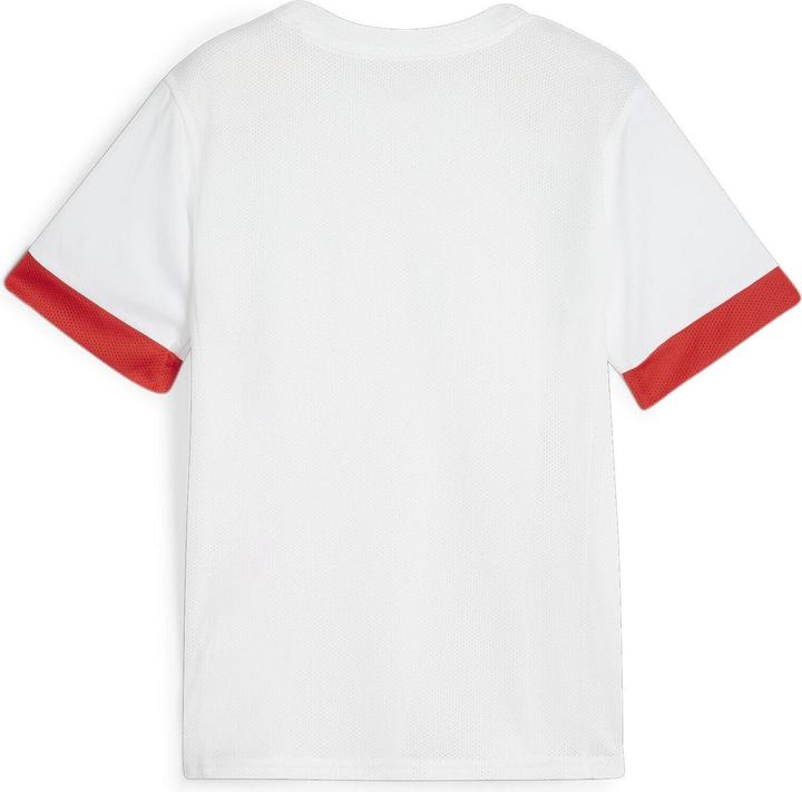 Image du produit Puma teamGOAL Matchday Jersey jr (140)