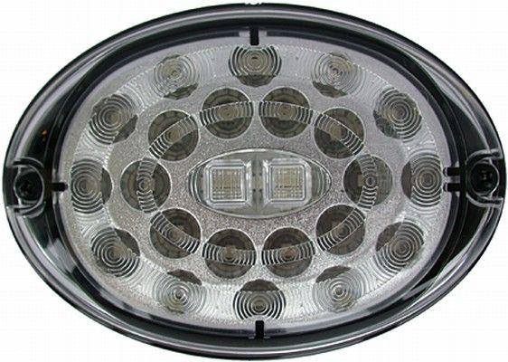 Actual product image Hella Tail light LED for DAF