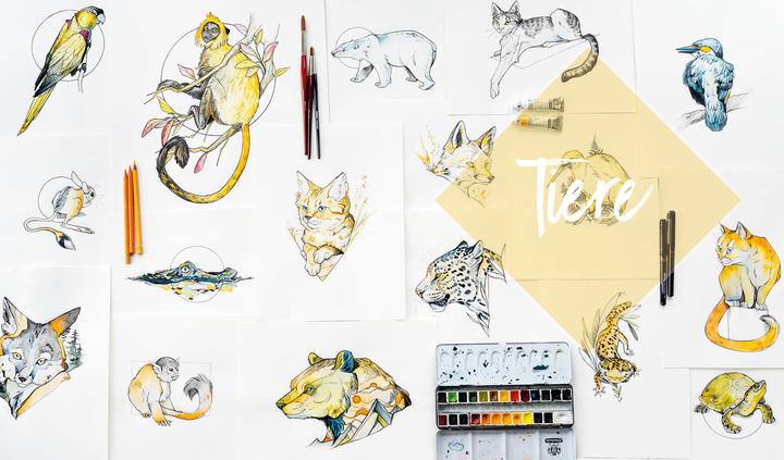 Produktbild Animals – 25 Tiere zeichnen mit Watercolor-Effekt (Deutsch, Susanne Loose, 2021)