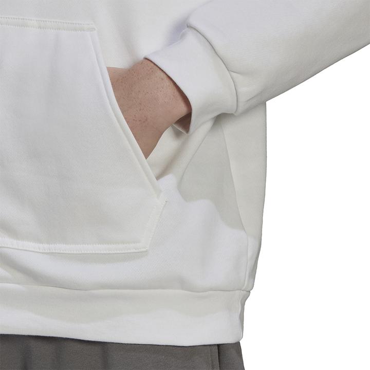 Image du produit adidas Sweat à capuche Entrada 22 Hommes (XS)