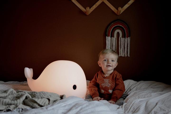 Image du produit Filibabba Lampadaire LED - Christian la baleine 60 cm