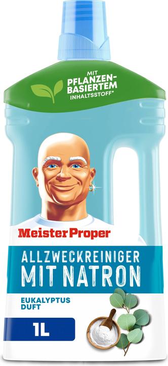 Meister Proper Natron