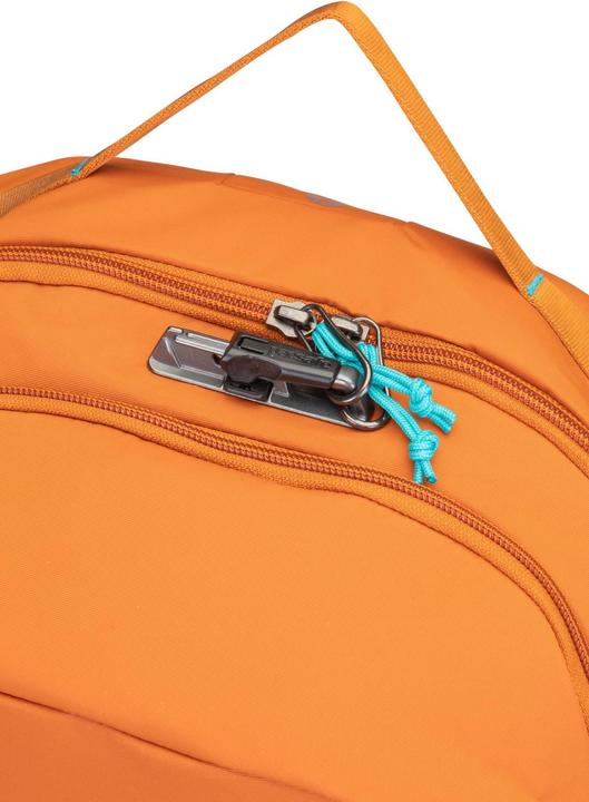 Actual product image Pacsafe Eco (25 l)