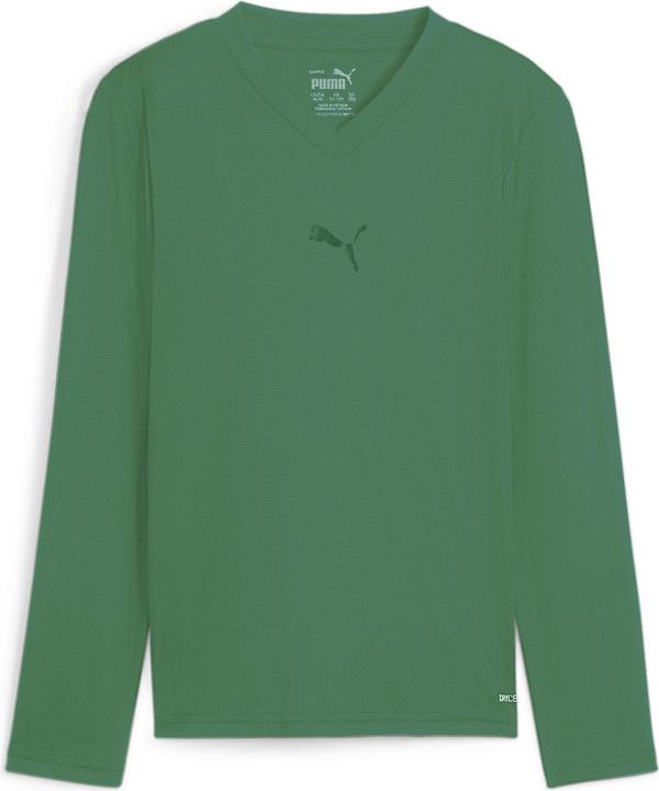 Actual product image Puma teamGOAL Baselayer Tee LS Jr. (176)