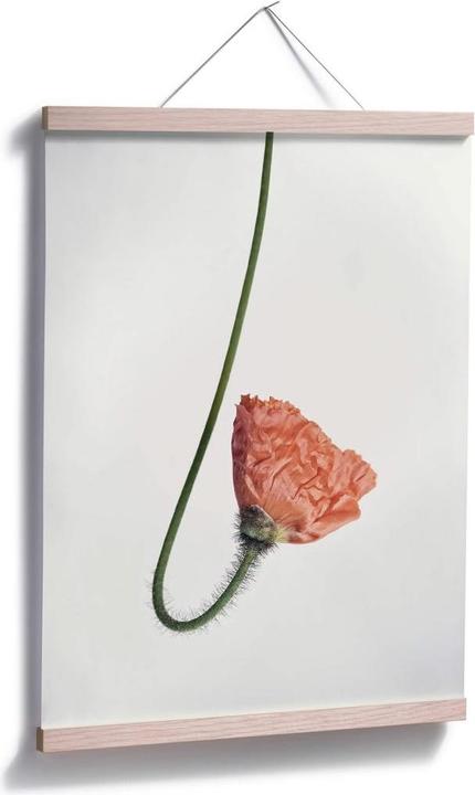Image du produit Trenddeko La fleur rouge 02 (30 x 40 cm)