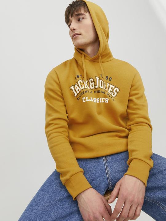 Immagine prodotto Jack & Jones Logo Hoodie (XXL)