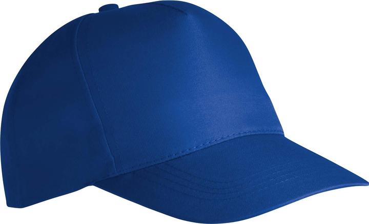 Actual product image K-up Polycoton 5 Panneaux réglable