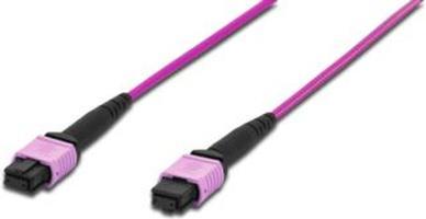 Actual product image Digitus MPO patch cable, OM4, 1m (LSOH, CAT6, 1 m)