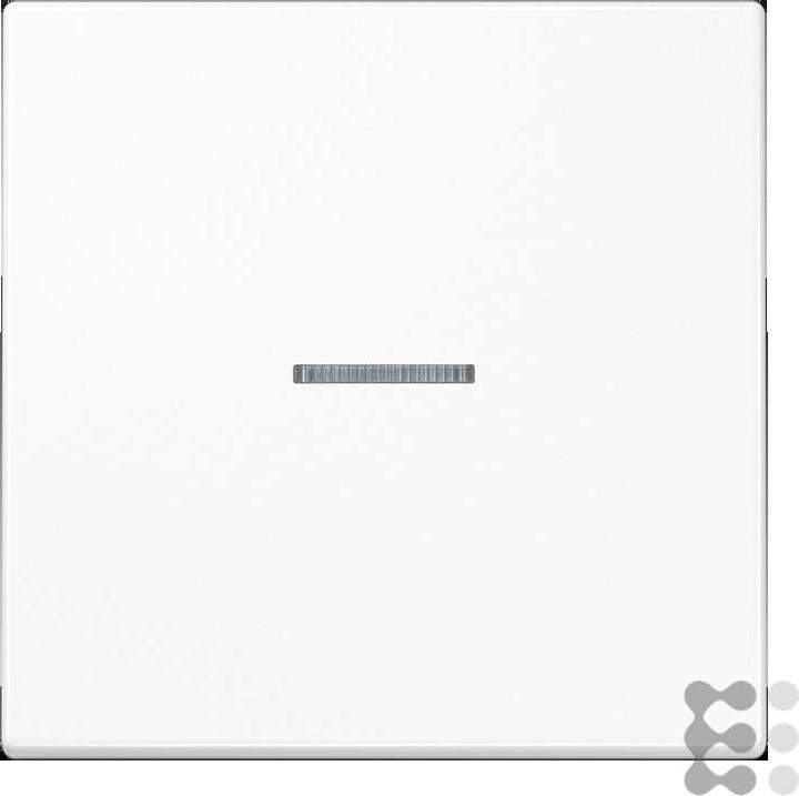 Image du produit JUNG Bouton-poussoir HOME simple BTLS17101WW