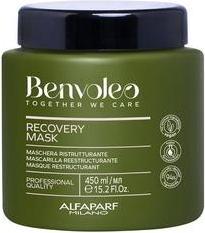 Immagine prodotto Alfaparf Alfa Benvoleo Recovery Mask 450ml (450 ml)
