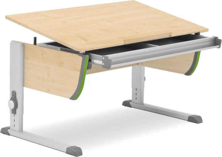 Actual product image Moll Joker