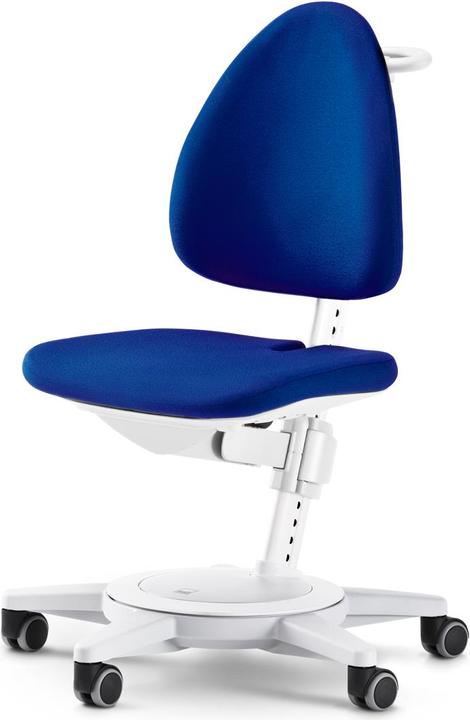 Actual product image Moll Maximo 15