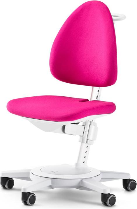 Actual product image Moll Maximo 15