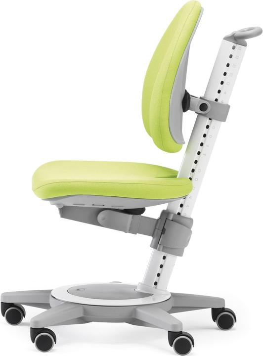 Actual product image Moll Maximo 15