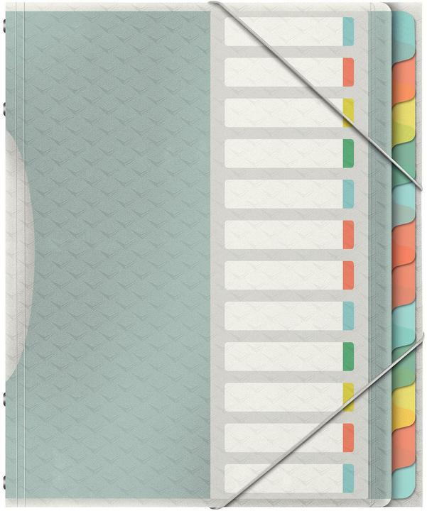 Esselte Colour'Ice (A4, 1 x)