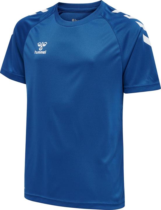 Vrai bleu