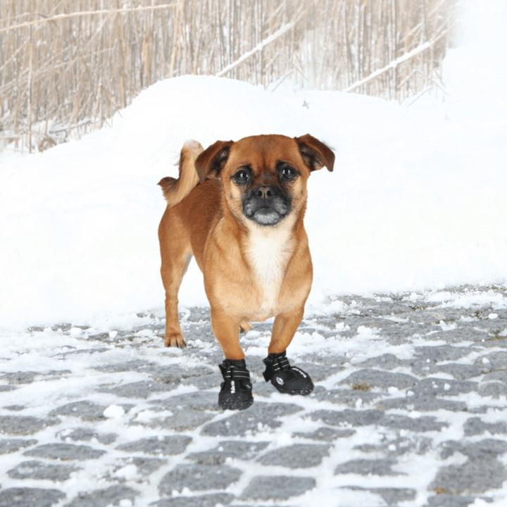 Produktbild Trixie Walker Active (M, Hundeschuhe)