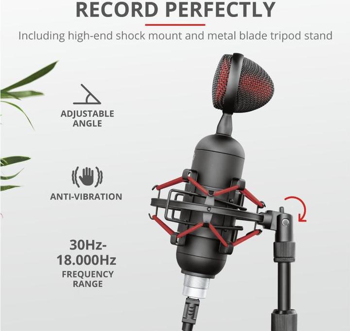 Actual product image Trust Microphone GXT 244 Buzz